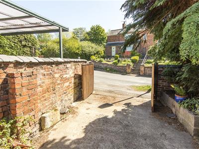 Picture 25